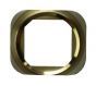 Metal Ring for use with the iPhone 5S, Champagne