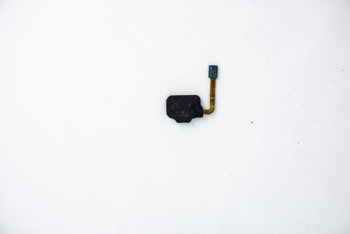 Fingerprint Scanner Flex Cable for use with Samsung Galaxy S8 (Coral Blue)