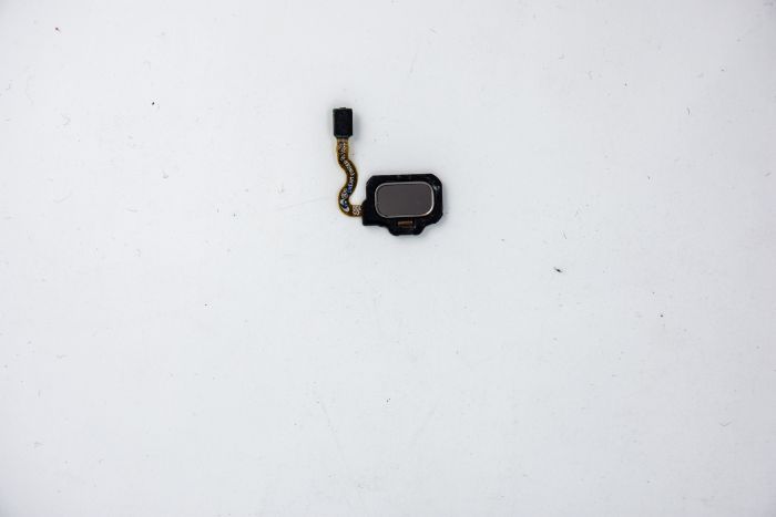 Fingerprint Scanner Flex Cable for use with Samsung Galaxy S8 (Maple Gold)