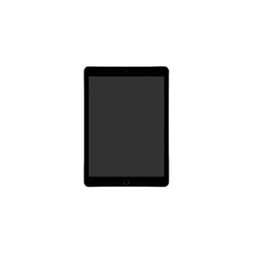 iPad Air 2 (B Grade)