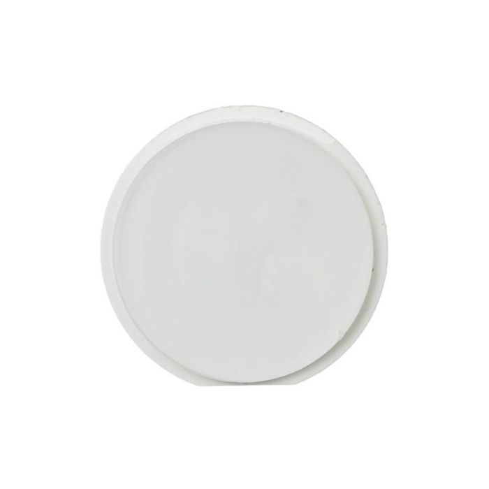 White Home Button for use with iPad 2