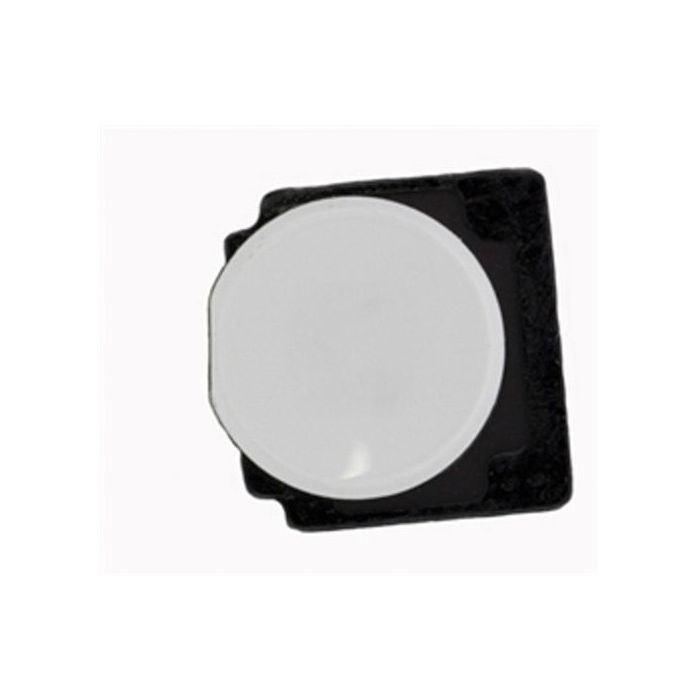 Home Button & Spring