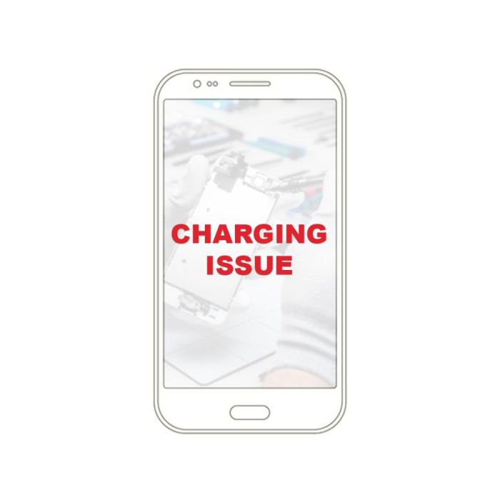 Charging Issue
