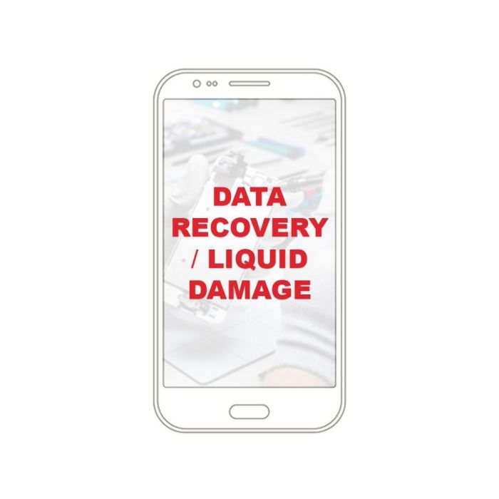 Data Recovery/Liquid Damage