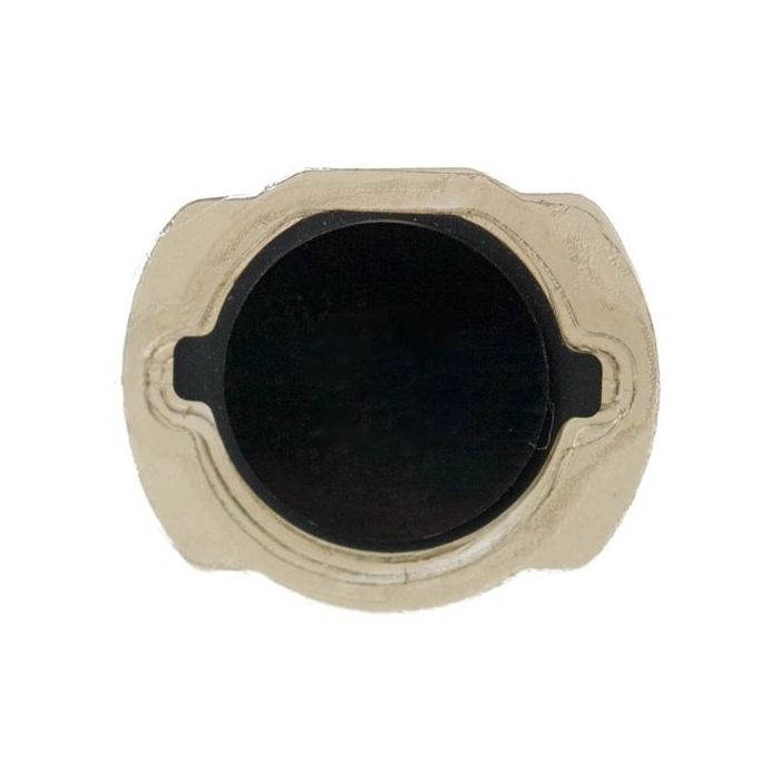 Home Button