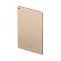 Frame - Gold for use with Ipad Pro 9.7"