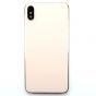 Frame with Back Glass for use with iPhone XS Max (Gold)