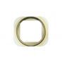 Metal Ring for use with the iPhone 6 (4.7), Gold
